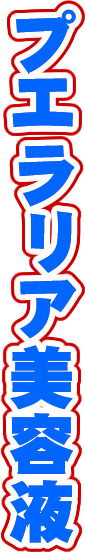 �v�G�����A���e�t